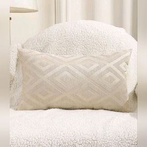 2 Pillow Covers 20x12"